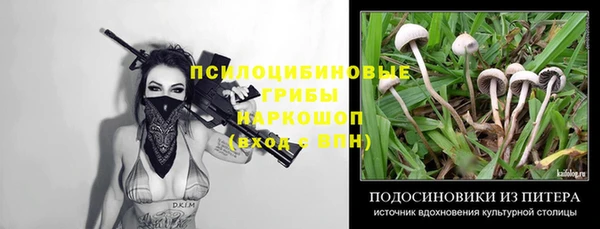 мяу мяу мука Переславль-Залесский