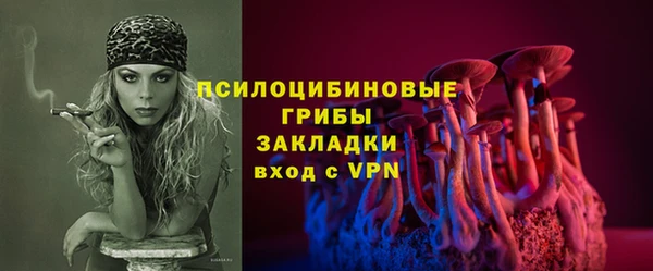 трава Арсеньев