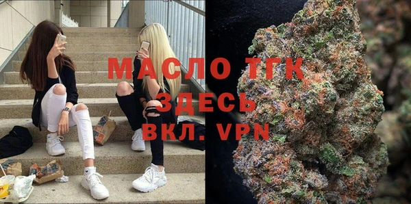 спиды Пересвет